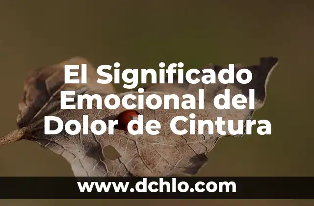 Significado Emocional de Morderse los Labios 7 El Significado Emocional del Dolor de Cintura