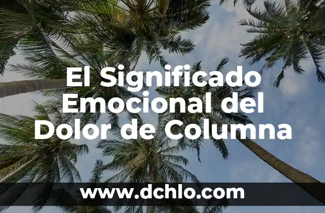 Significado de Secuencia de Acontecimientos Cronol贸gicos 7 El Significado Emocional del Dolor de Columna