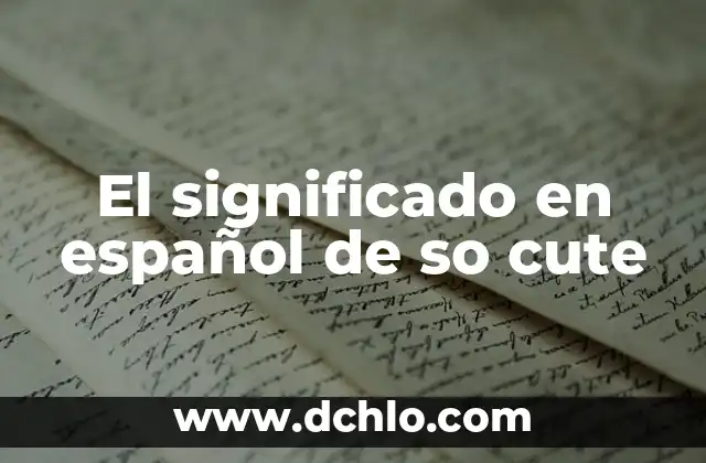 El Significado de Obtuvo y Su Uso en el Español 8 El significado en español de so cute