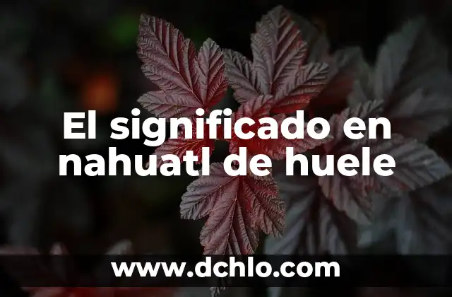 El Significado de Mora 4 El significado en nahuatl de huele