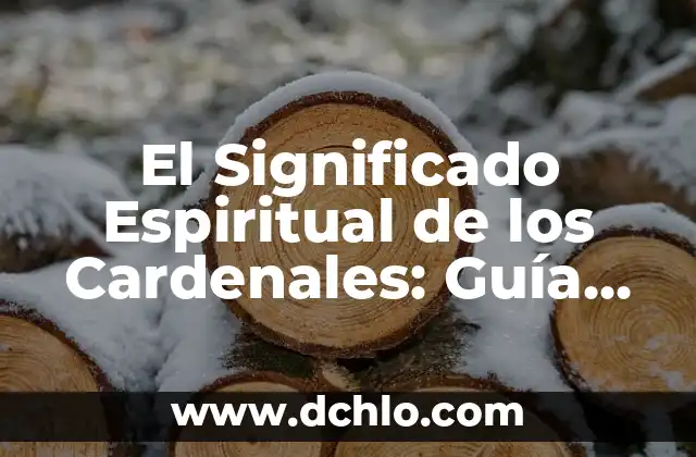 Guía Completa Sobre el Potenciómetro 6 El Significado Espiritual de los Cardenales: Guía Completa