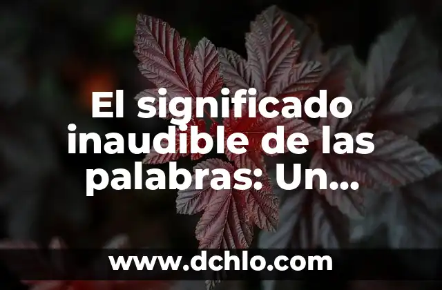 Significado de Talmidim 3 El significado inaudible de las palabras: Un enfoque detallado
