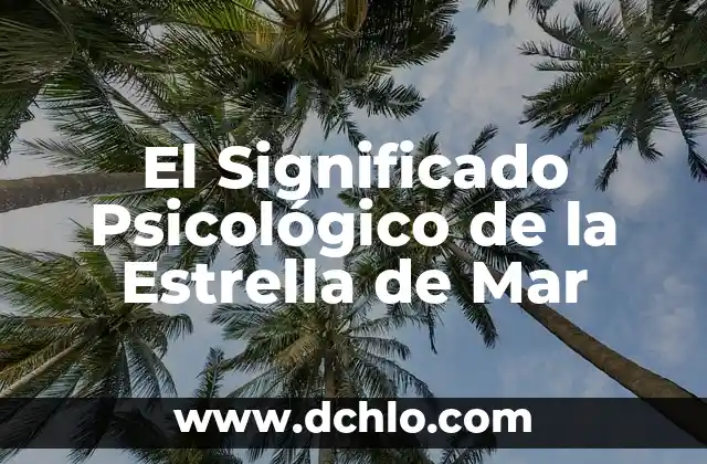 Como hacer olas de mar con cartulina 4 El Significado Psicológico de la Estrella de Mar