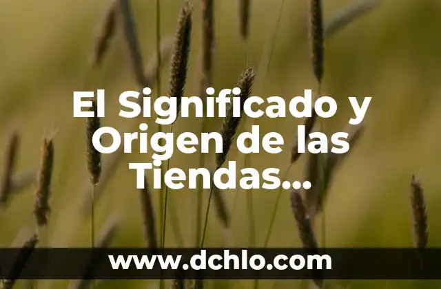 Breve significado de adultos mayores 6 El Significado y Origen de las Tiendas Especializadas