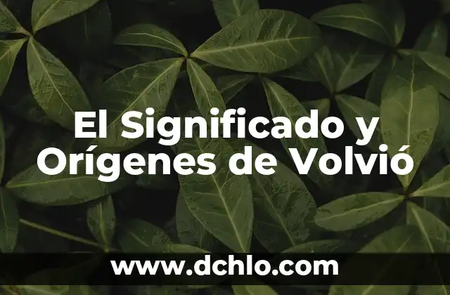 Significado en Facebook de DTB 6 El Significado y Or铆genes de Volvi贸