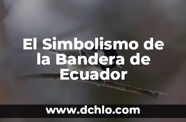 El significado de wawa en Ecuador 3 El Simbolismo de la Bandera de Ecuador
