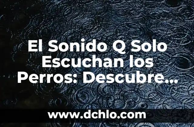 Frutas que pueden comer los perros: Guía completa y segura 8 El Sonido Q Solo Escuchan los Perros: Descubre el Misterio