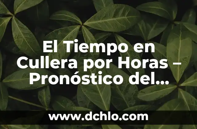Presentador del Tiempo en la 1: Todo sobre el Profesionista que Predice el Clima 8 El Tiempo en Cullera por Horas – Pronóstico del Clima en Cullera
