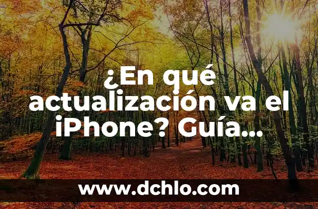 Cómo hacer la actualización del empadronamiento en la aduana 5 ¿En qué actualización va el iPhone? Guía completa de actualizaciones