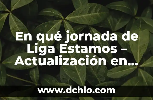 Cómo hacer la actualización del empadronamiento en la aduana 4 En qué jornada de Liga Estamos – Actualización en Vivo