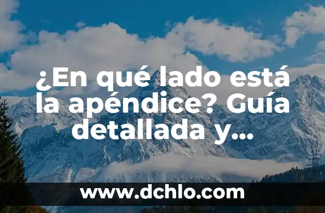 ¿En qué lado está la apéndice? Guía detallada y completa