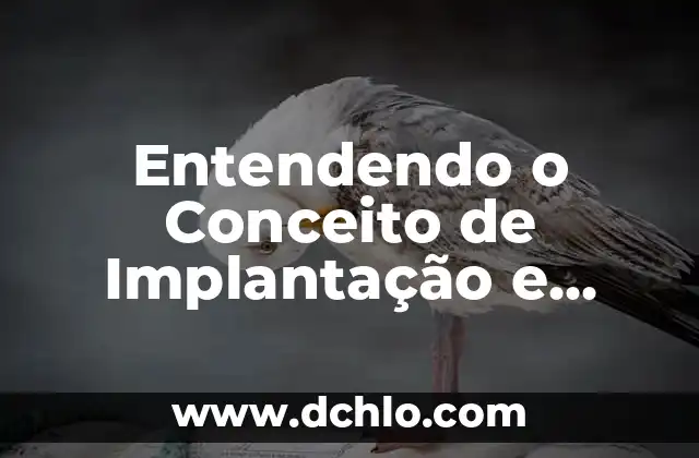 Entendendo os Significados de Venda 3 Entendendo o Conceito de Implantação e seus Sinônimos