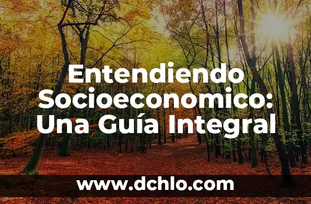 Entendiendo Socioeconomico: Una Guía Integral