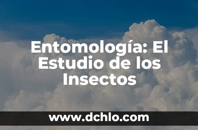 Conductismo: El Estudio del Comportamiento Humano 3 Entomología: El Estudio de los Insectos