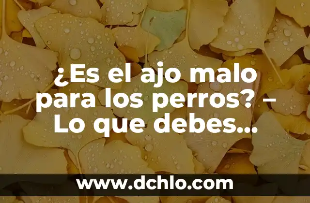 Significado de Fermín: Todo lo que debes saber 8 ¿Es el ajo malo para los perros? – Lo que debes saber