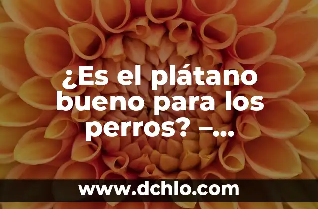 Frutas que pueden comer los perros: Guía completa y segura 4 ¿Es el plátano bueno para los perros? – Descubre los beneficios y riesgos