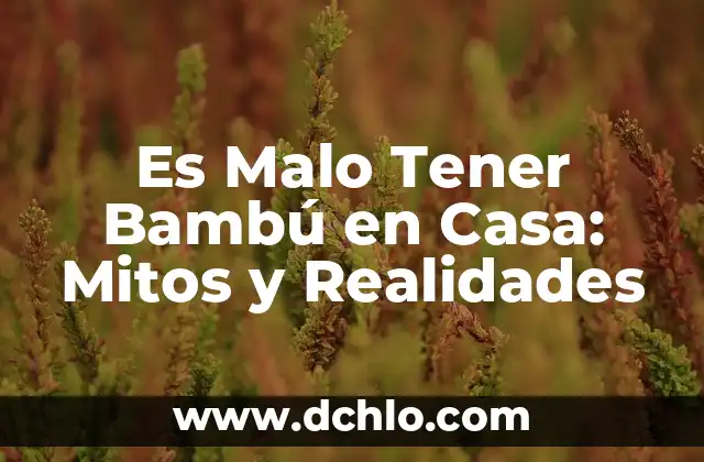 ¿El SIDA se Transmite por la Saliva? Mitos y Realidades 4 Es Malo Tener Bambú en Casa: Mitos y Realidades