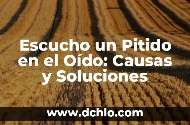 Llevo dos meses sin regla y no estoy embarazada: Causas y soluciones 7 Escucho un Pitido en el Oído: Causas y Soluciones