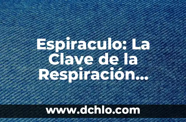 Aspectos clave de los Sofistas 6 Espiraculo: La Clave de la Respiración Acuática