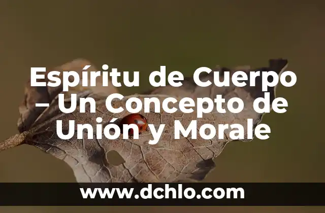Los Dones del Espíritu: Un Regalo Divino 6 Espíritu de Cuerpo – Un Concepto de Unión y Morale