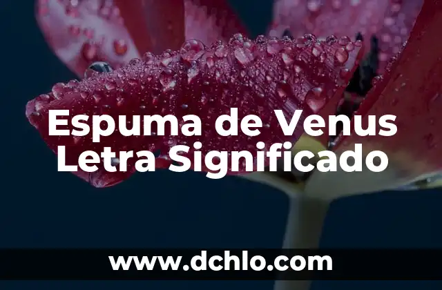 Cómo hacer espuma con la leche 6 Espuma de Venus Letra Significado