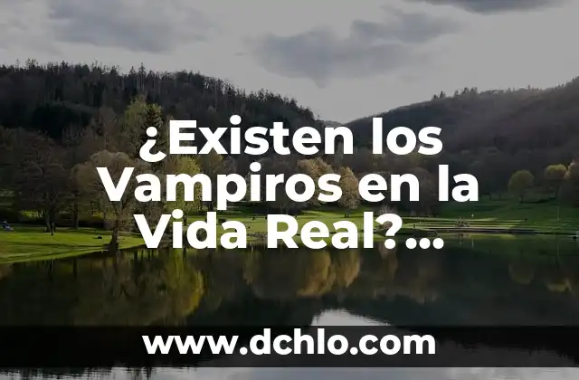 Fiesta de la Cerveza en Alemania: Descubre la Cultura Cervecera Alemana 6 ¿Existen los Vampiros en la Vida Real? Descubre la Verdad