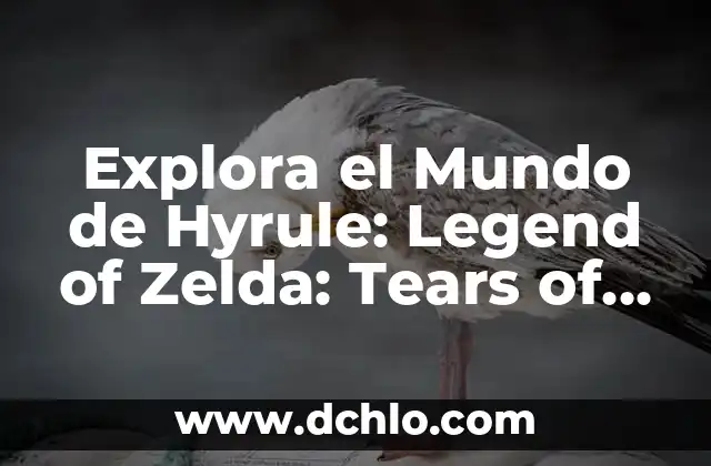 Explora el Mundo de Hyrule: Legend of Zelda: Tears of the Kingdom