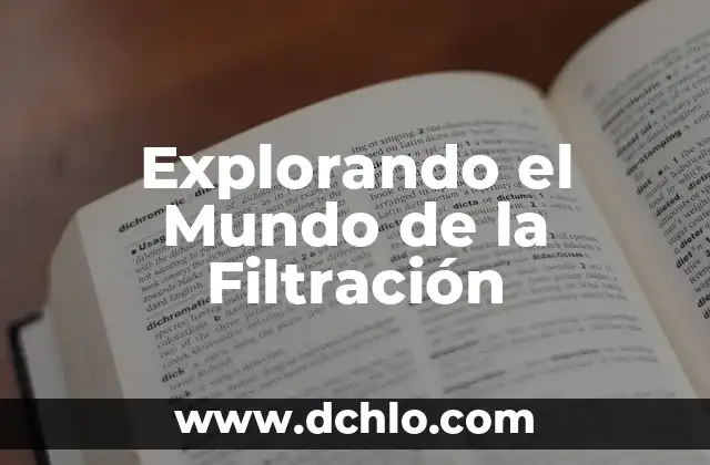 El Mundo del Telegrama 8 Explorando el Mundo de la Filtraci贸n