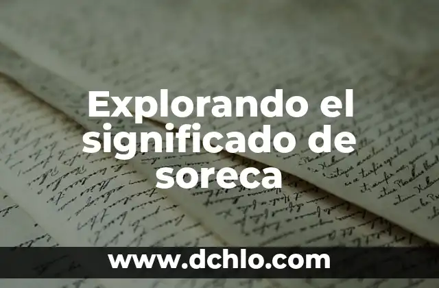 Explorando el Universo con Sondas 4 Explorando el significado de soreca