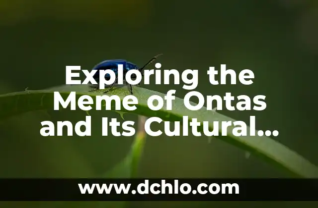 Understanding the Meaning of 'What the Text' and Its Usage 8 Exploring the Meme of Ontas and Its Cultural Impact