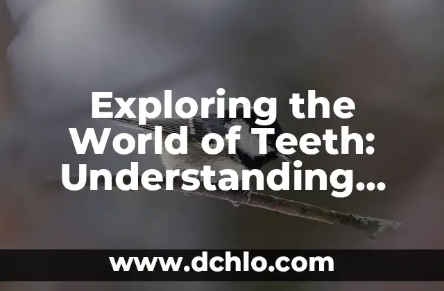 Significado de World Wide Web 4 Exploring the World of Teeth: Understanding ‘Dento’
