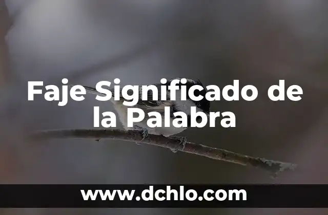 Hipoalergénica Significado de la Palabra 7 Faje Significado de la Palabra