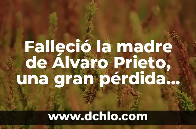 ¿Qué ha pasado con Álvaro Prieto? La verdad sobre su desaparición 3 Falleció la madre de Álvaro Prieto, una gran pérdida para el mundo del fútbol