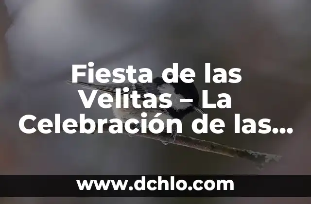 Cómo hacer bolsita de básquetbol para fiesta 6 Fiesta de las Velitas – La Celebración de las Pequeñas Velas