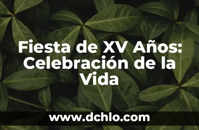 Cómo hacer bolsita de básquetbol para fiesta 5 Fiesta de XV Años: Celebración de la Vida
