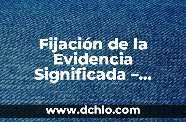 Indentificación de la Meta Significada 3 Fijación de la Evidencia Significada – Comprensión Básica