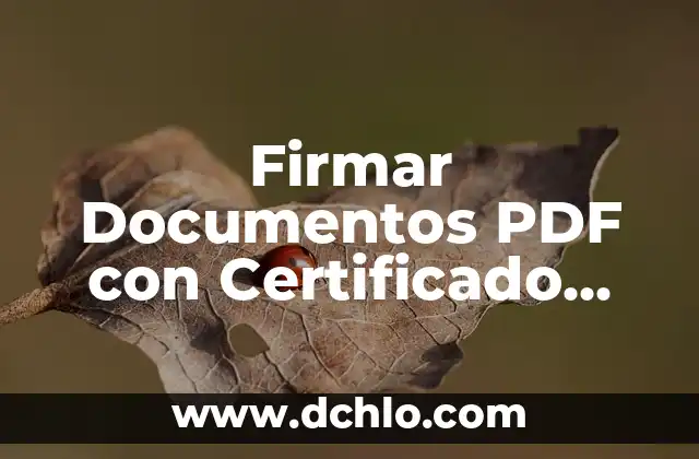Cómo Firmar con Certificado Digital un PDF de Forma Segura y Fácil 6 Firmar Documentos PDF con Certificado Digital: Guía Completa