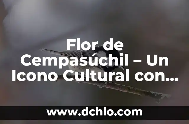 Significado de la Flor de Cempasúchil 4 Flor de Cempasúchil – Un Icono Cultural con Profundo Significado