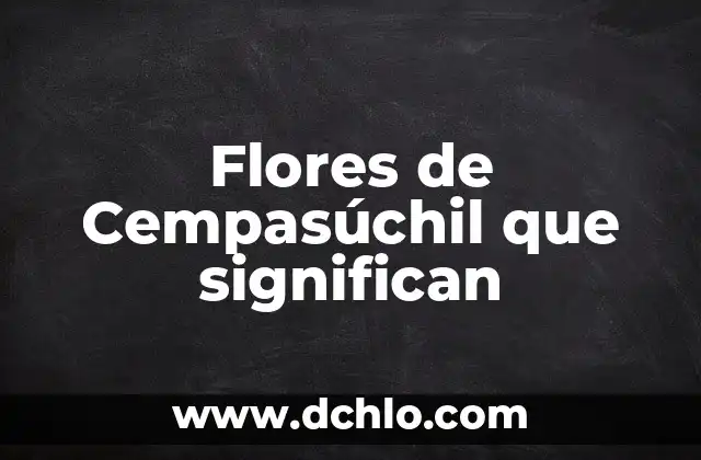 Significado de la Flor de Cempasúchil 3 Flores de Cempasúchil que significan
