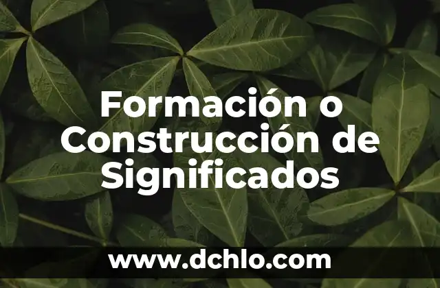 Significado en Construcción de BC 4 Formación o Construcción de Significados