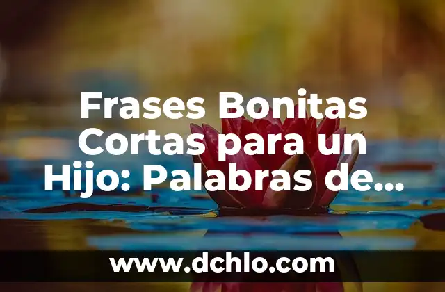 Frases Cortas pero Bonitas de Amor para Encantar a Tu Pareja 3 Frases Bonitas Cortas para un Hijo: Palabras de Amor y Apoyo