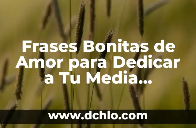 Frases Cortas pero Bonitas de Amor para Encantar a Tu Pareja 5 Frases Bonitas de Amor para Dedicar a Tu Media Naranja