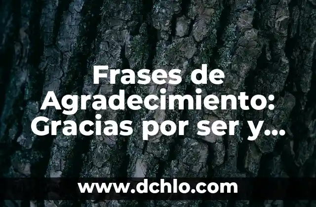 Cómo hacer un rosario de acción de gracias 7 Frases de Agradecimiento: Gracias por ser y estar – Expresiones de Gratitud