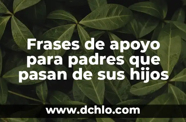 Puntos a Dos Agujas para Bebés: Guía Completa para Padres Primerizos 3 Frases de apoyo para padres que pasan de sus hijos