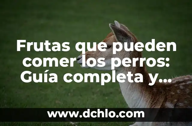 Frutas que pueden comer los perros: Guía completa y segura