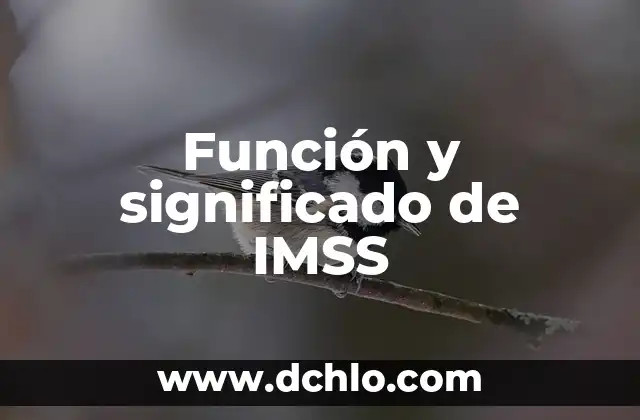Como hacer para trabajar en el IMSS 5 Función y significado de IMSS