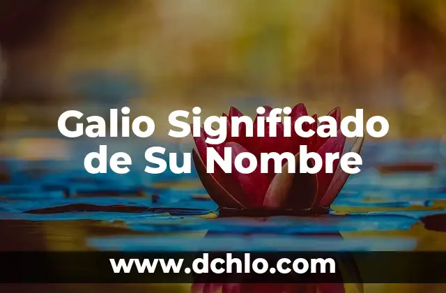 FYI Significado de las Siglas 3 Galio Significado de Su Nombre