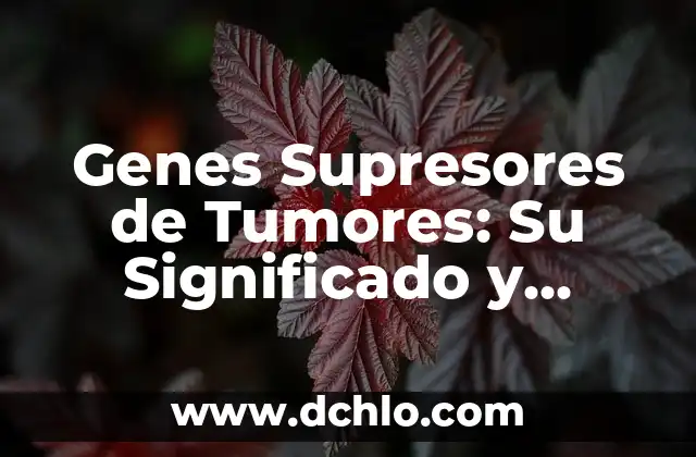 Cómo hacer para tener un cuerpo perfecto 4 Genes Supresores de Tumores: Su Significado y Función en el Cuerpo Humano