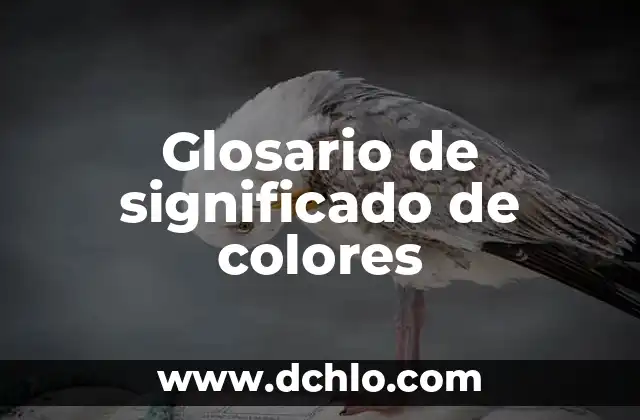Glosario: Significado y Usos de la Palabra en Diferentes Contextos 5 Glosario de significado de colores