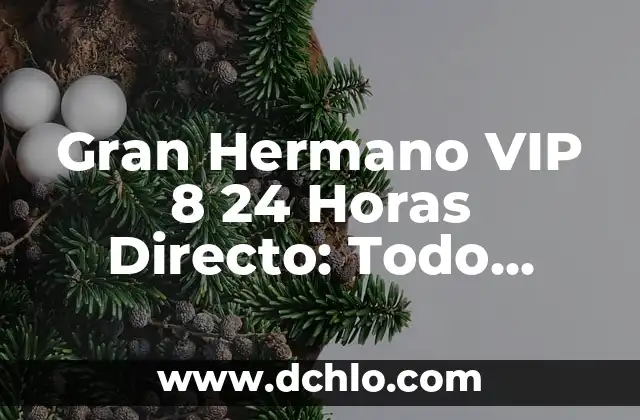 ¿Cuándo Sale la 5 Temporada de Stranger Things? (Exacta) 8 Gran Hermano VIP 8 24 Horas Directo: Todo sobre la Última Temporada